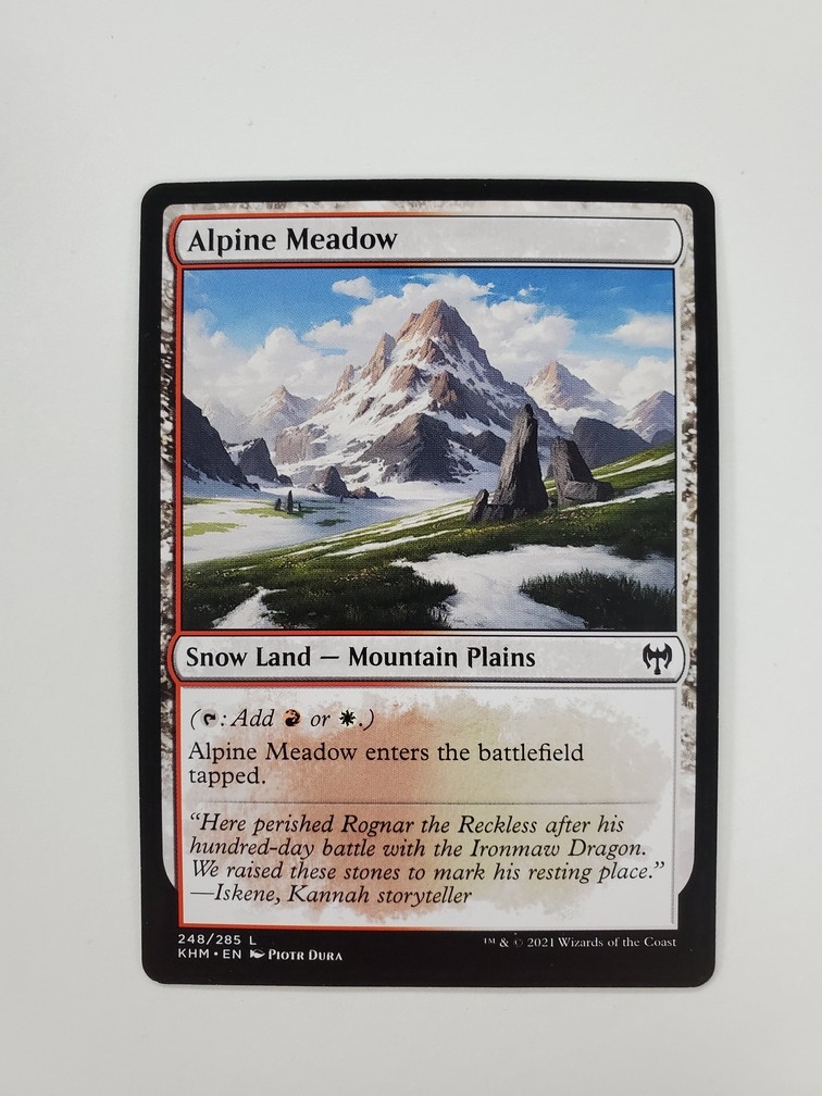 Alpine Meadow