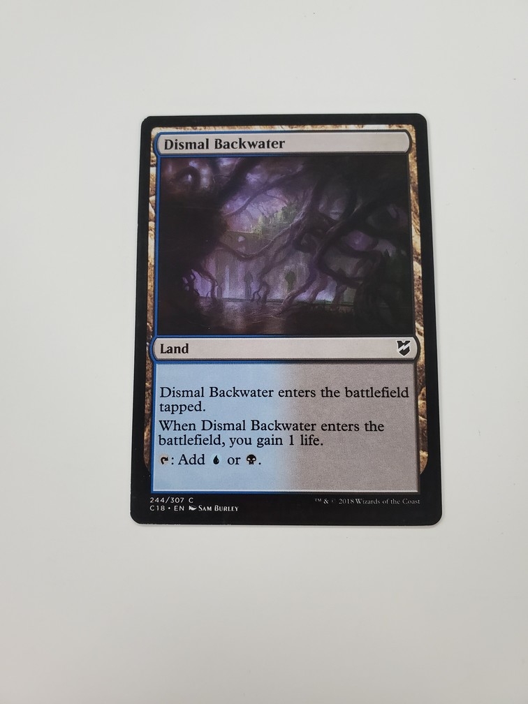 Dismal Backwater