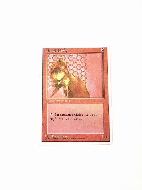 Hurr Jackal (Francaise)