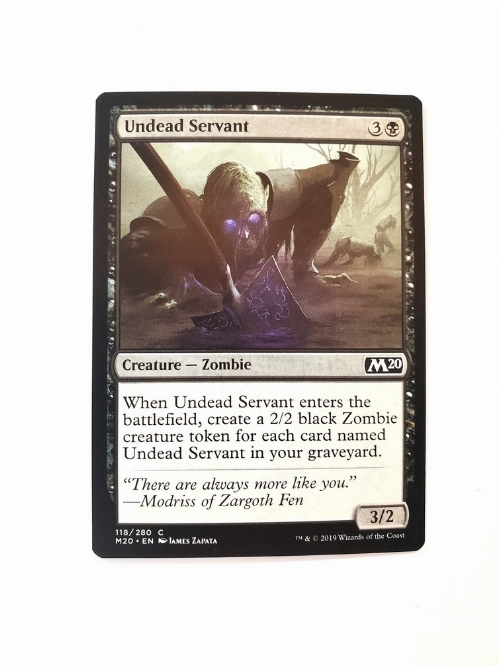 Undead Servant
