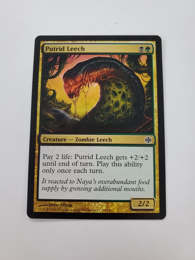 Putrid Leech