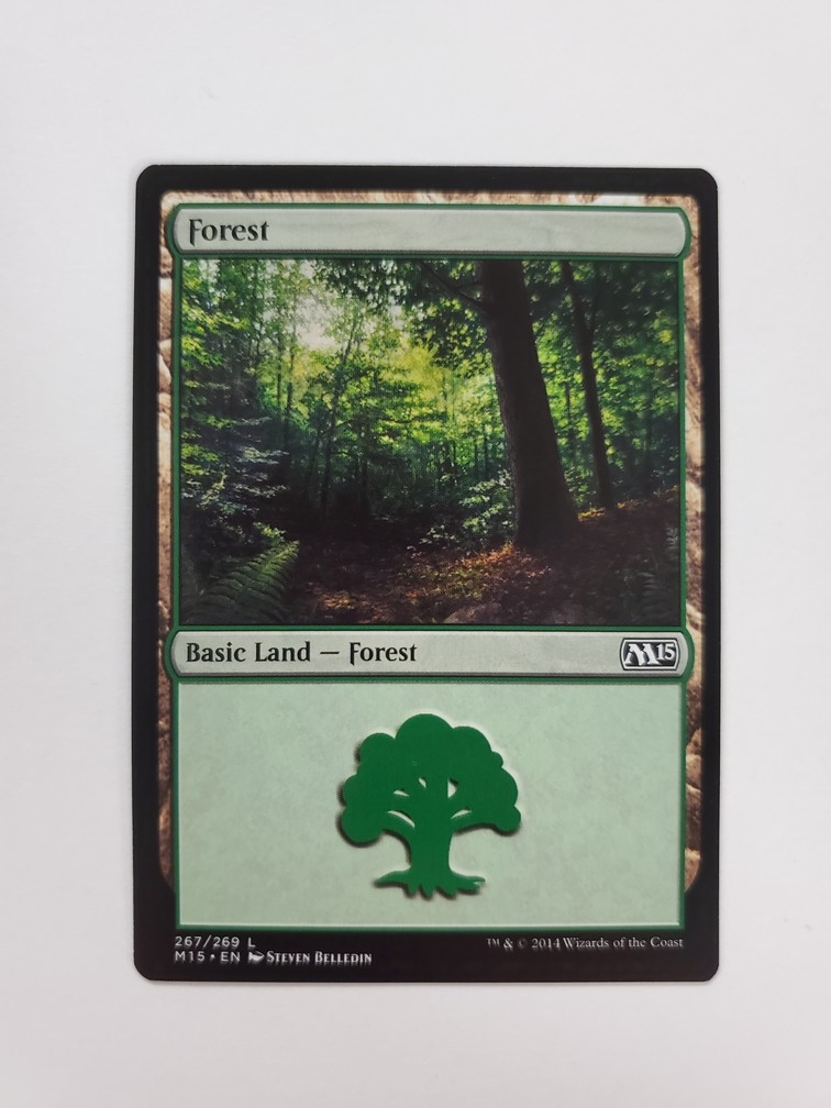 Forest (267/269)