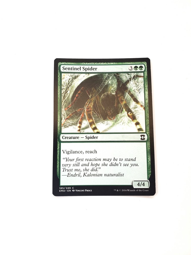 Sentinel Spider