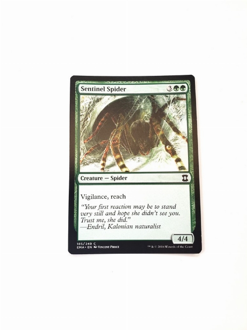 Sentinel Spider