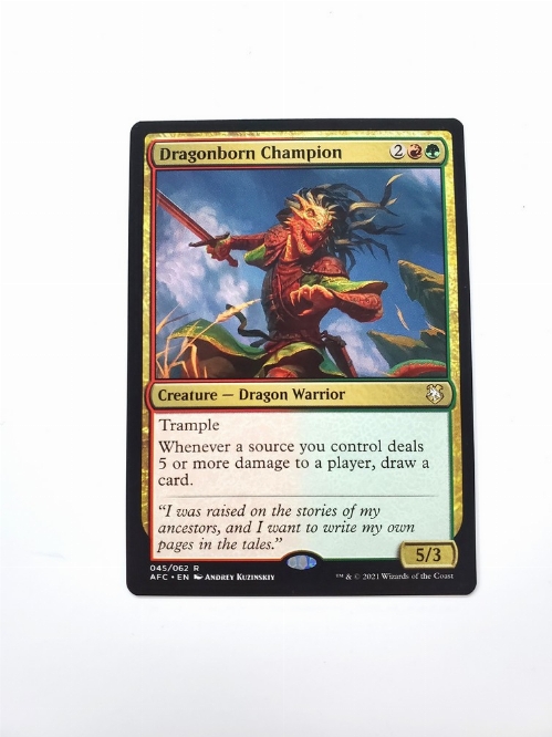 Dragonborn Champion