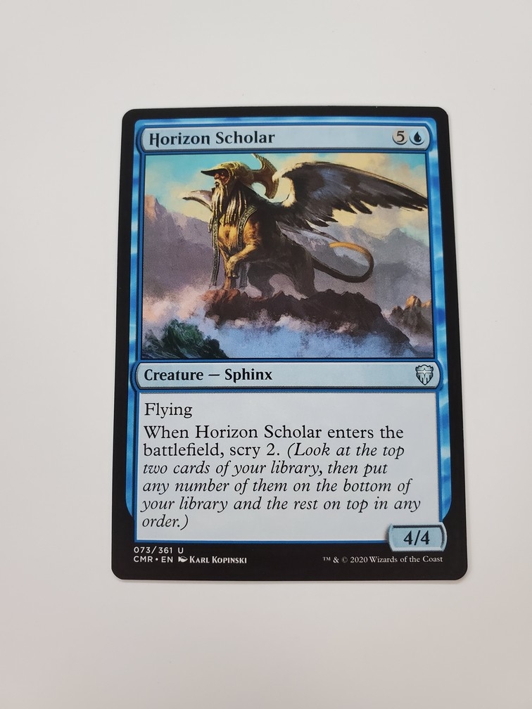 Horizon Scholar