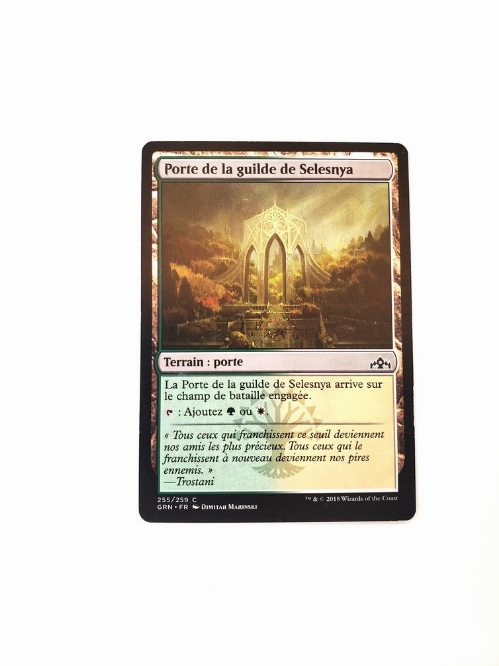 Selesnya Guildgate (255) (Francaise)