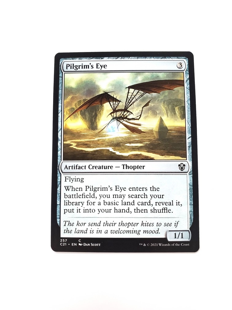 Pilgrim's Eye
