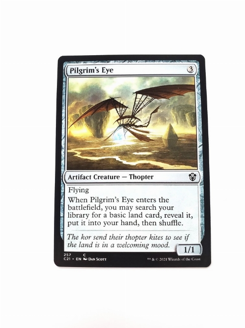 Pilgrim's Eye