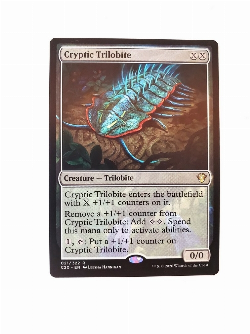 Cryptic Trilobite