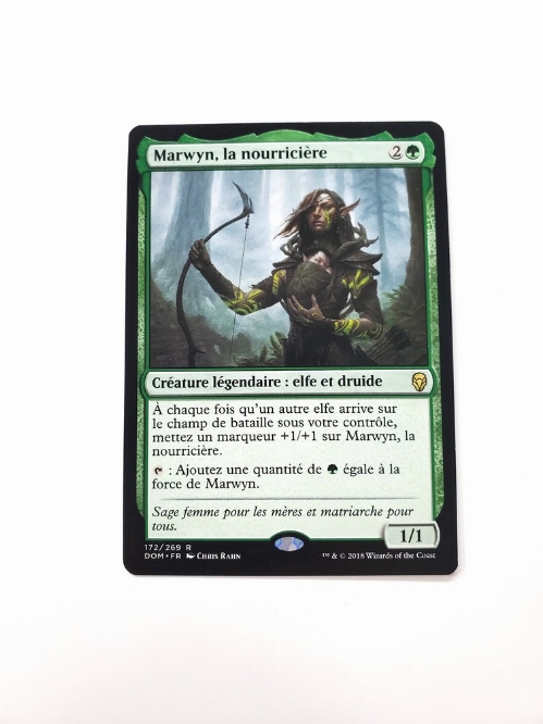 Marwyn, the Nurturer (Francaise)
