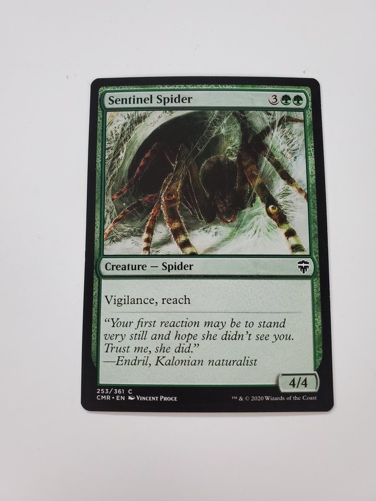 Sentinel Spider
