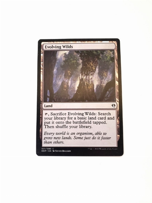 Evolving Wilds