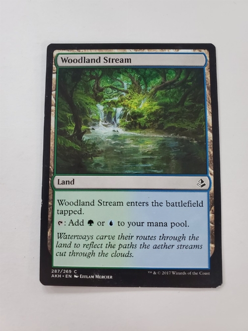 Woodland Stream