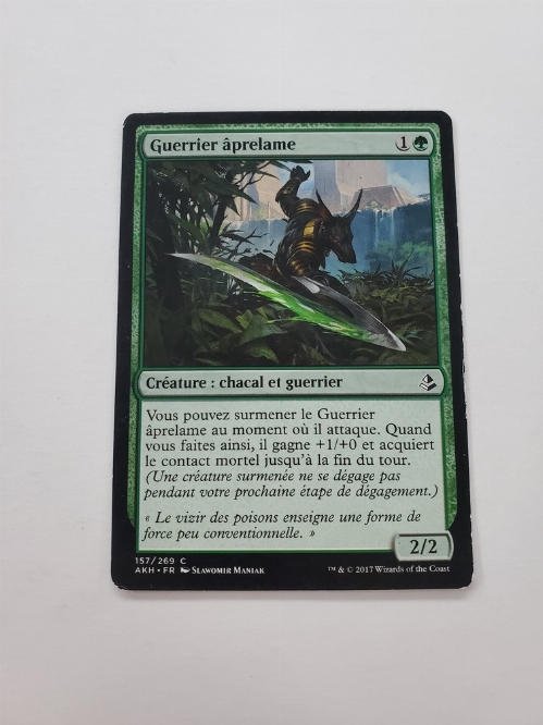 Bitterblade Warrior (Francaise)