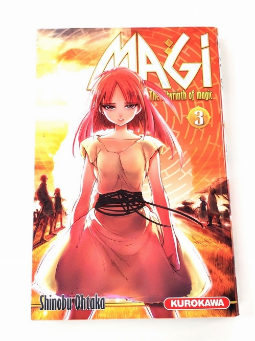 Magi: The Labyrinth of Magic (Vol.3) (Francais)
