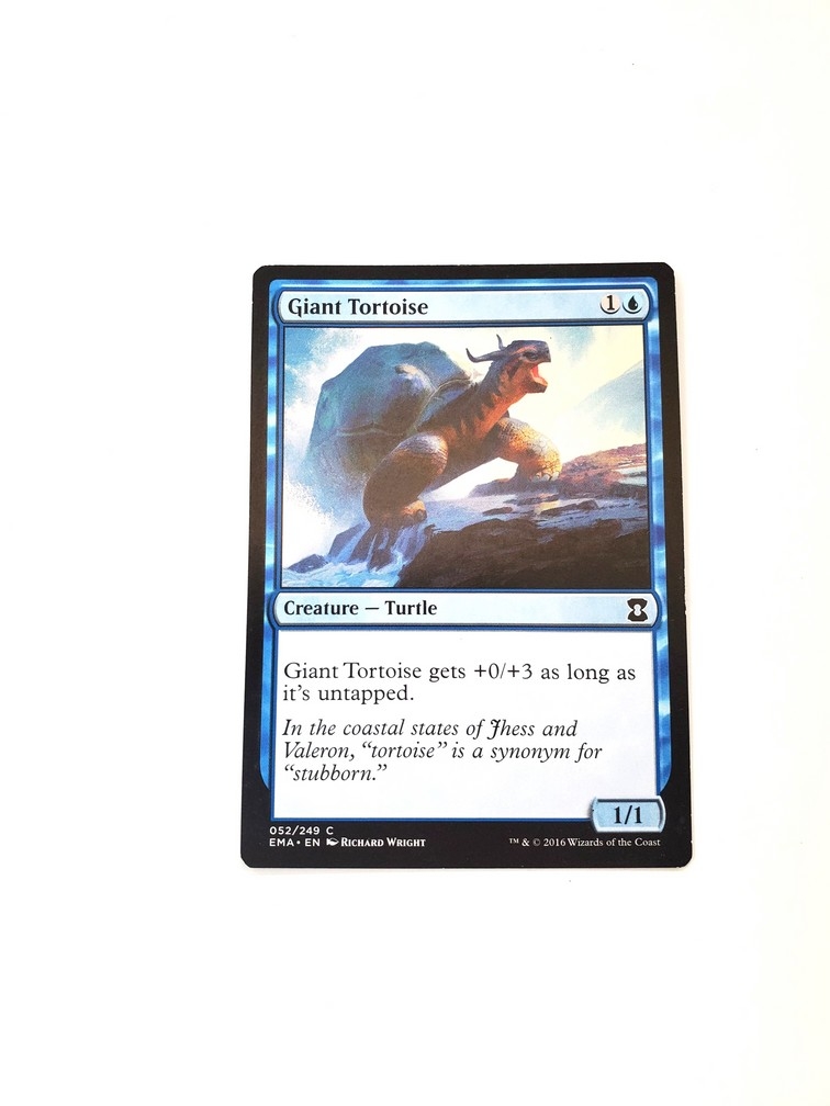 Giant Tortoise