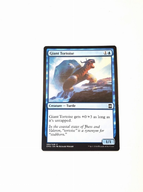 Giant Tortoise