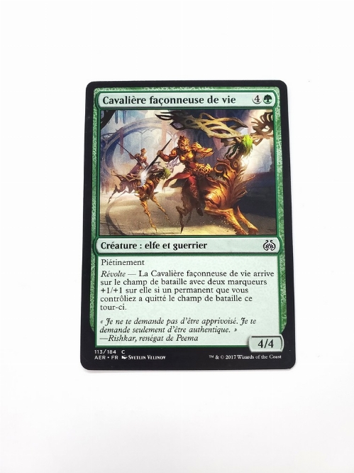 Lifecraft Cavalry (Francaise)