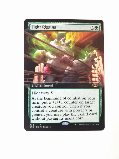 Fight Rigging (Extended Art)