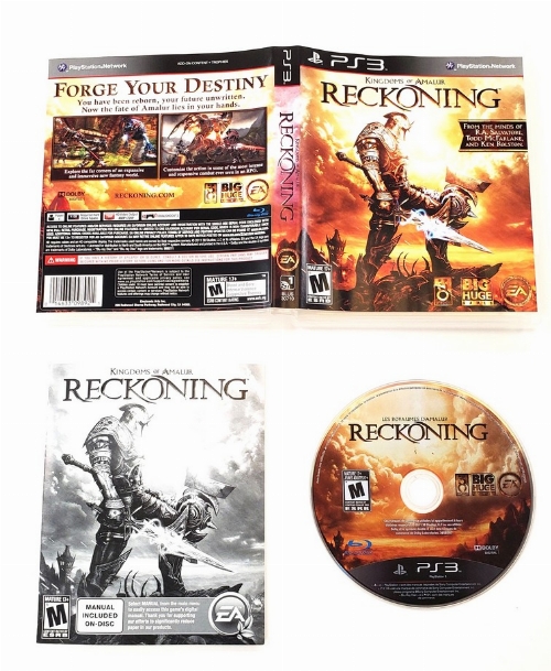 Kingdoms of Amalur: Reckoning (CIB)