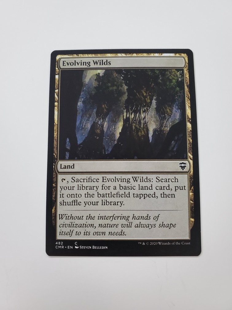 Evolving Wilds