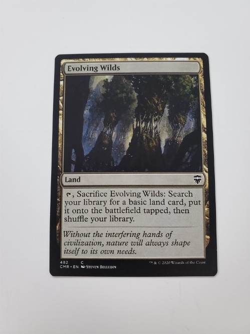 Evolving Wilds