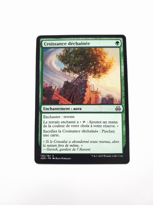 Unbridled Growth (Francaise)