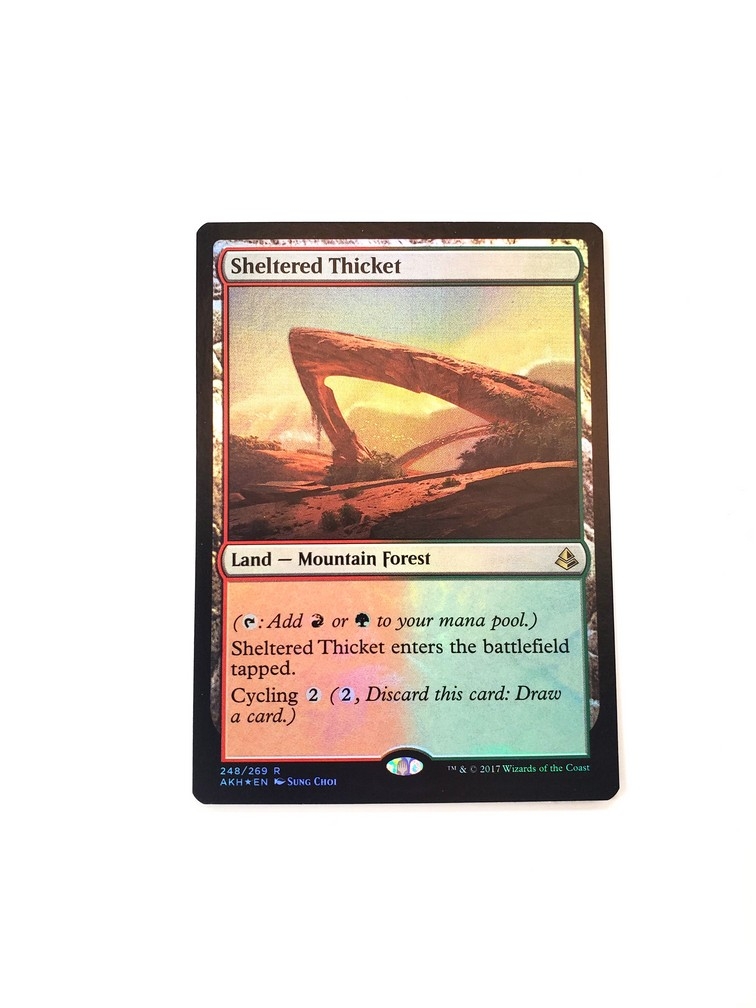 Sheltered Thicket (Foil)