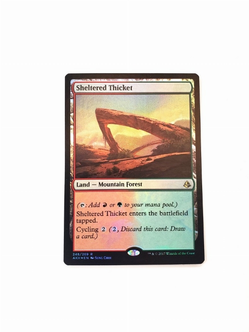 Sheltered Thicket (Foil)