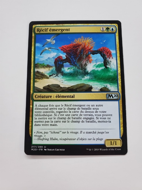 Risen Reef (Francaise)