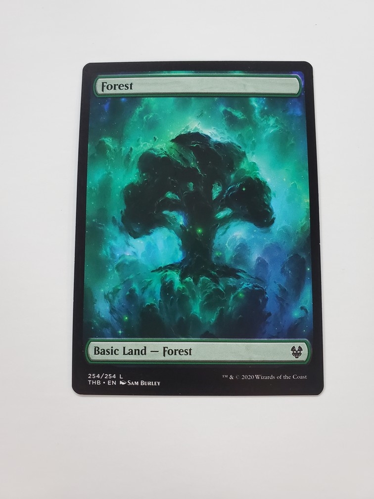 Forest (254/254) (Full Art)