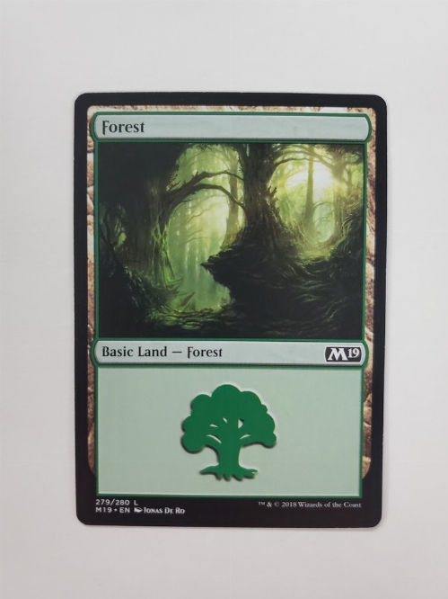 Forest (279/280)