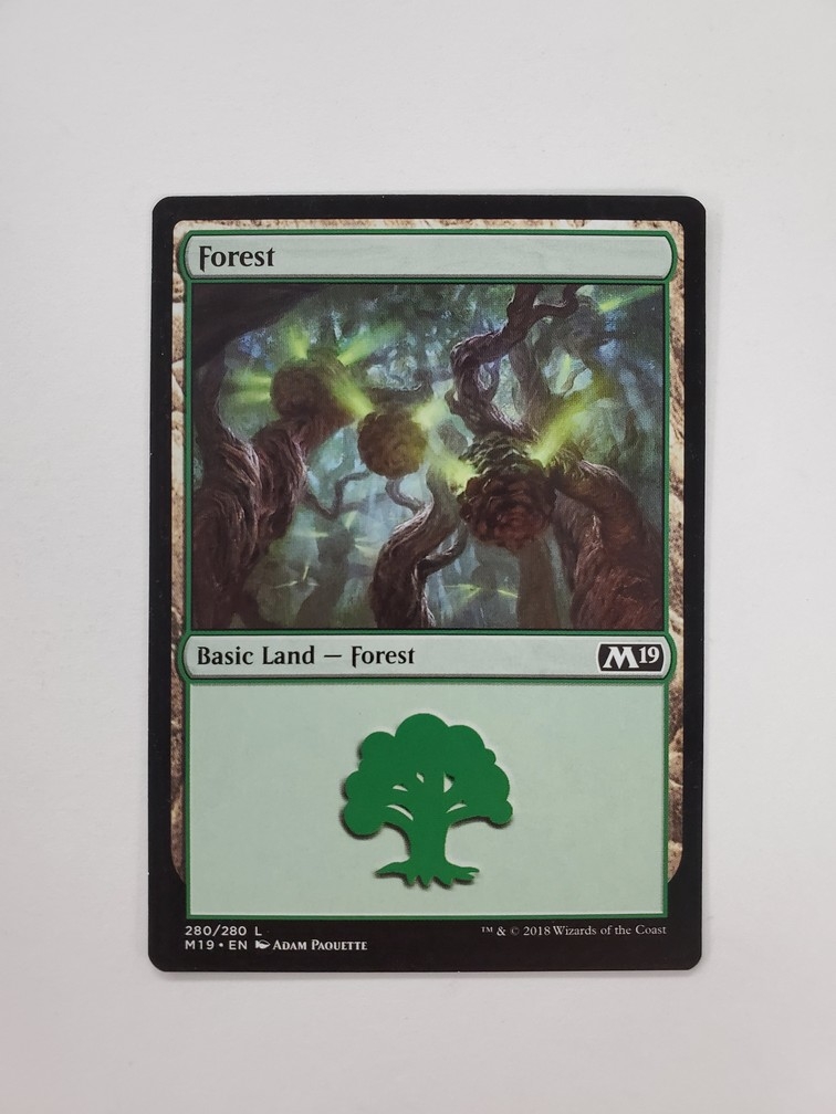 Forest (280)