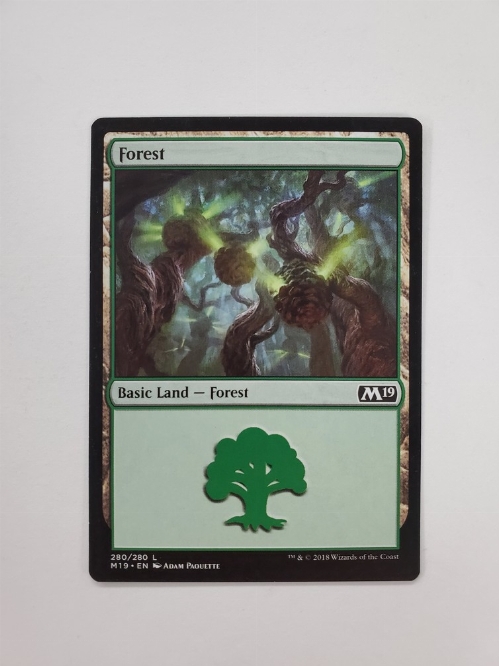 Forest (280)