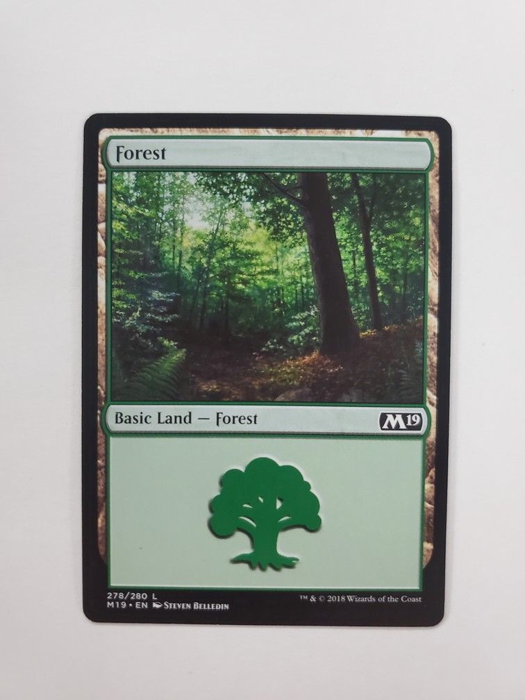 Forest (278)