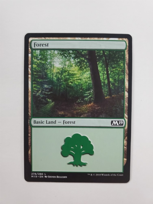 Forest (278/280)
