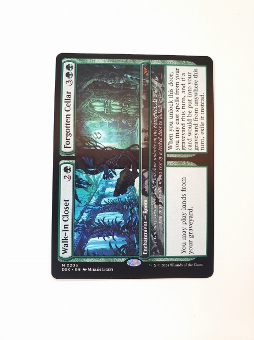 Walk-In Closet // Forgotten Cellar