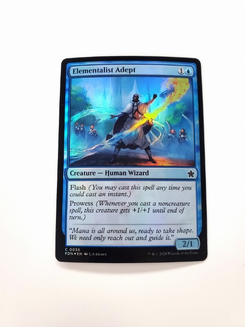 Elementalist Adept (Foil)