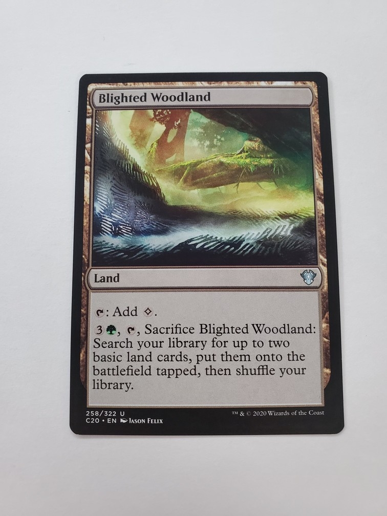 Blighted Woodland