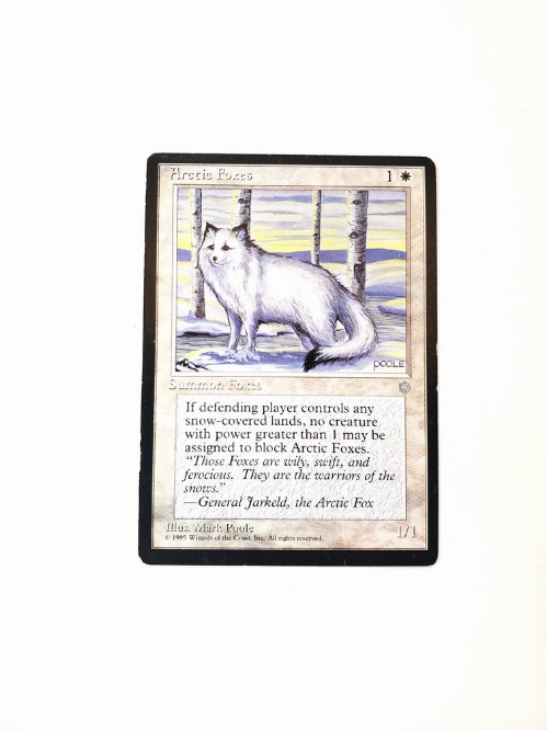 Arctic Foxes