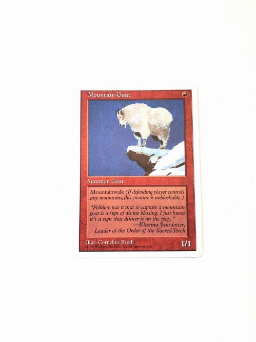 Mountain Goat
