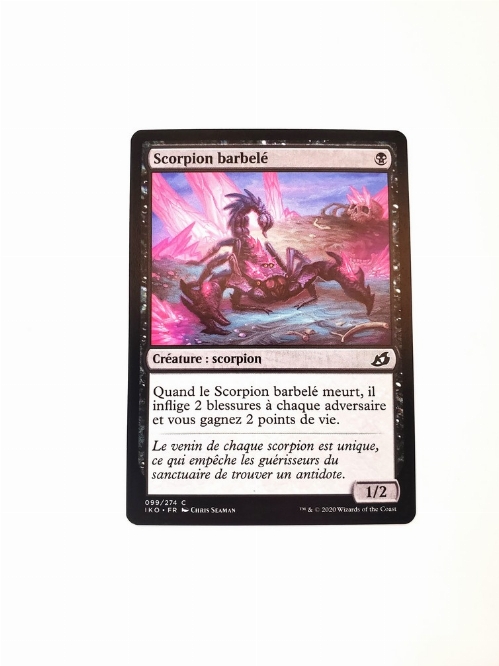 Serrated Scorpion (Francaise)