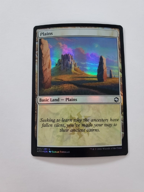 Plains (263) (Foil)