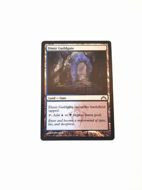 Dimir Guildgate
