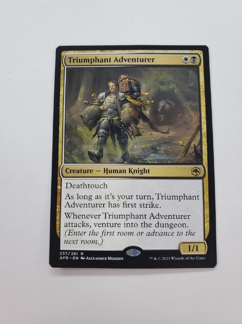 Triumphant Adventurer