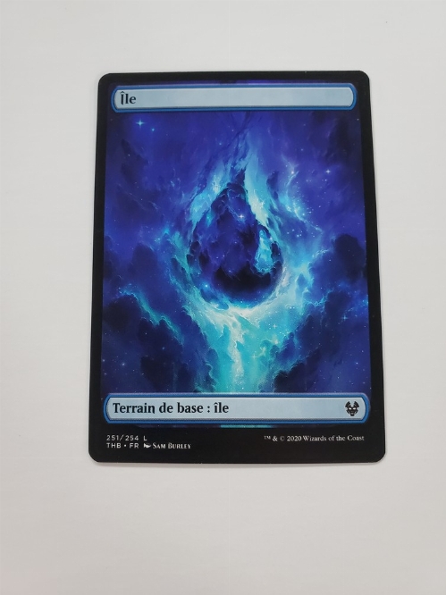 Island (251/254) (Full Art) (Francais)