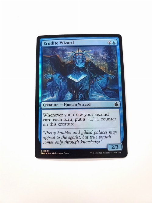 Erudite Wizard (Foil)
