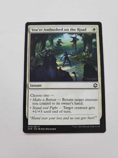 You're Ambushed on the Road