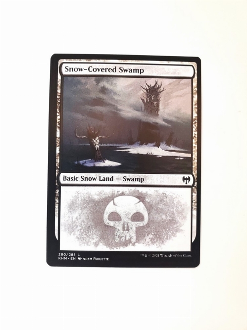 Snow-Covered Swamp (280)